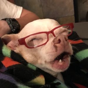 Meet your Posher, Brian